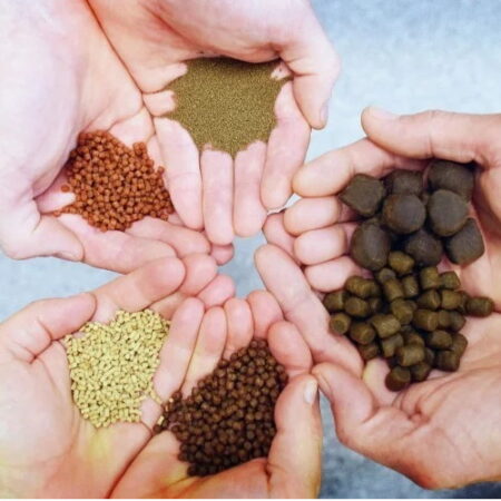 Fish feed
